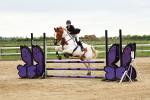 SBM_009054