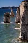 Old Harry's Mates