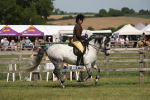 SBM_07593