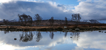 Rannoch Moor