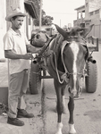 HORSEMAN - TRINIDAD DE CUBA