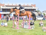 BPP_7223