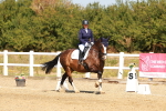 SBM_017947