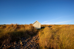 Beach Hut 01