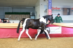 SBM_18461