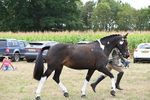WJ6_6250