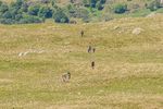 Duddon Short-18