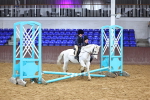 SBM_000461