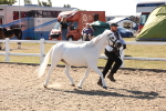 SBM_14059