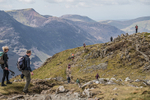 Newlands  TWA-1304