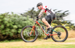 Summer Crit 2018_Round-3-12