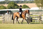 SBM_20184