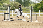 SBM_006441