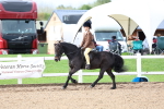 SBM_00379