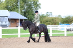 SBM_00335