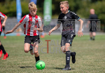 BWCI Mini Soccer Festival 2022-170