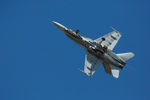 F-18 Hornet