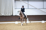SBM_000255