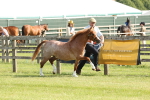 SBM_00641