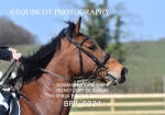 CLASS 5 SAT Pony Foxhunter/ 1.10m Open portfolio