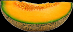 AA026350