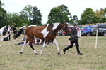 WJ6_6074