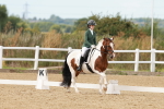 Classes 13, 19 - AM5 & FEI Pony Team Test portfolio
