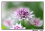 190614-untitled-1L4A1913-Edit
