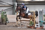 BPP_6593