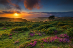 z1699 Sunset, Ventnor Down