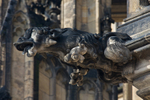 Gargoyle, St. Vitus's Cathedral, Prague