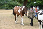 WJ6_7944