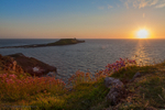 Worms Head