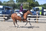 BPP_2078