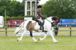 SBM_17696