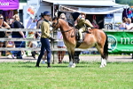 SBM_05835