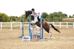 SBM_002504