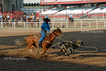 _DSC0713
