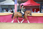 SBM_00742