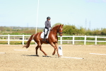 SBM_000160