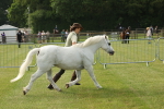 SBM_00509