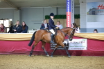 SBM_15876
