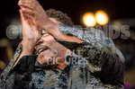 EARTH WIND & FIRE EXPERIENCE feat. AL McKAY portfolio