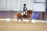 SBM_002968