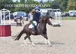BPP_9850