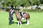 SBM_50375