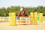 SBM_002225