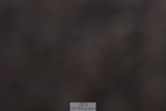 231104A-103917-00124