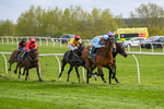 240424-Race 5-Tyger Bay-8251