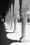 _MG_4118-2